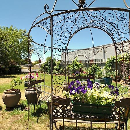 Cooma Cottage Luaran gambar