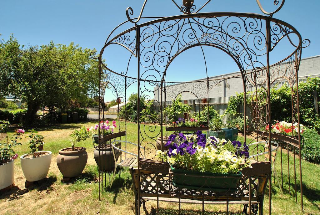 Cooma Cottage Luaran gambar