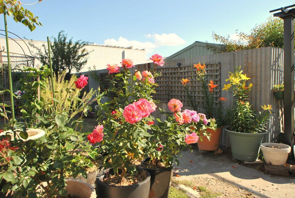 Cooma Cottage Luaran gambar